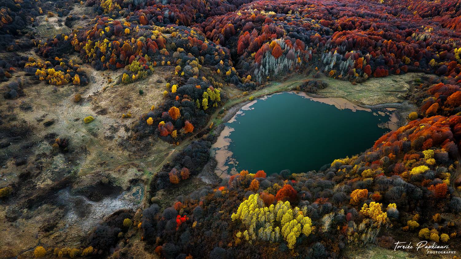 llandscape, georgia, tree, autumn, PAPKIAURI TORNIKE