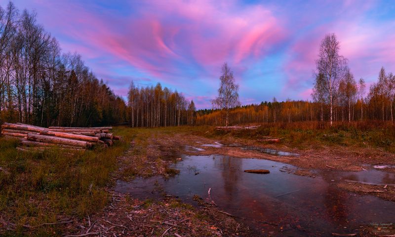 ивановская область, золотая осень, юрьевецкий район, березовая роща, рассвет, осень, октябрь, осенний пейзаж, сельская местность \