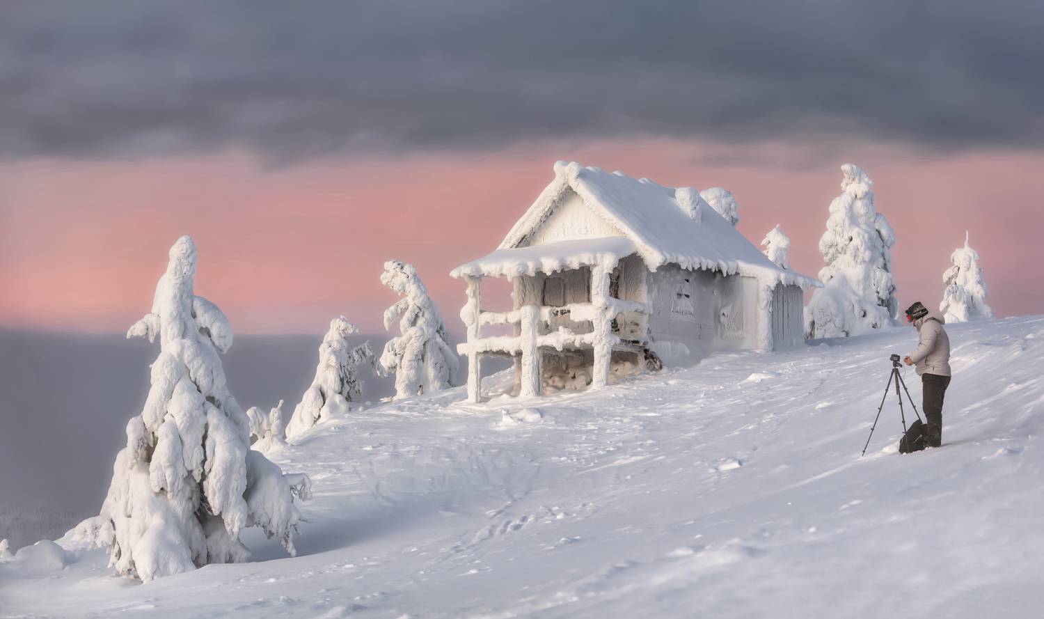 homo topia, homo sapiens, sugarhouse, lapland, Andrey Chabrov