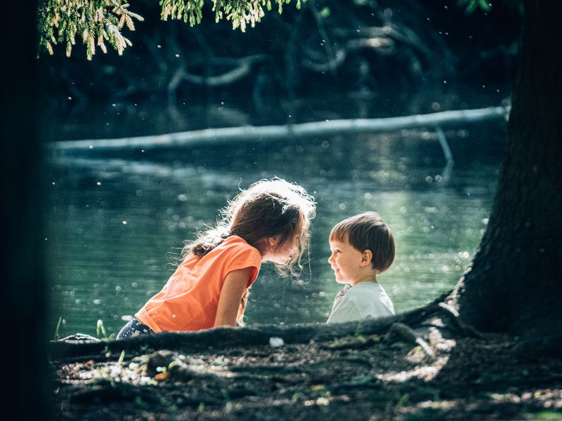 Брат и сестра фото превью