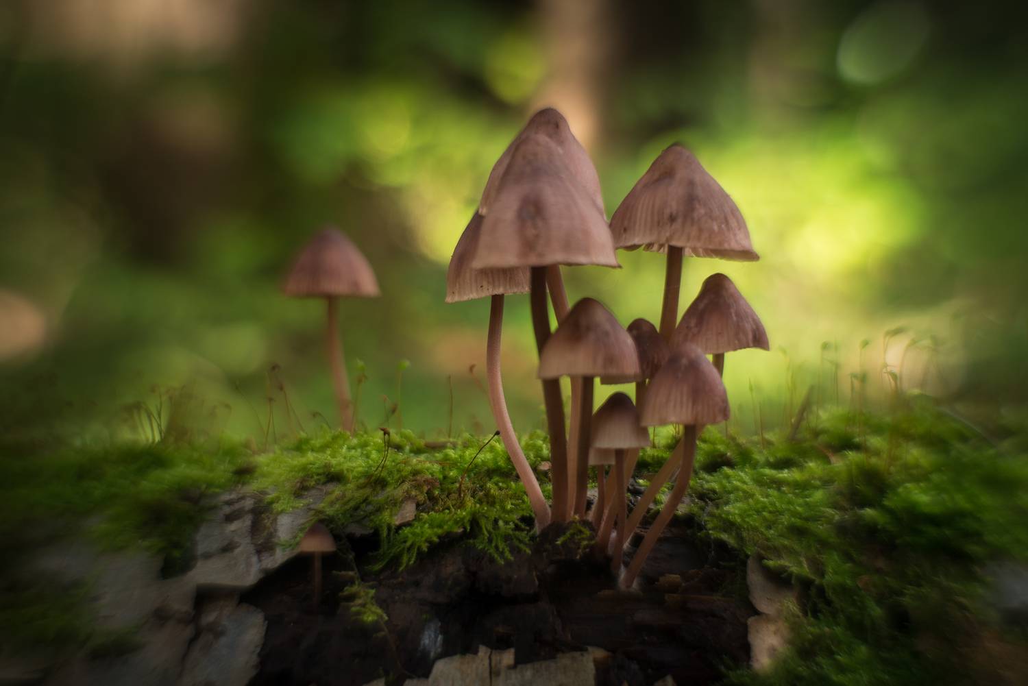 , Сизов Кирилл