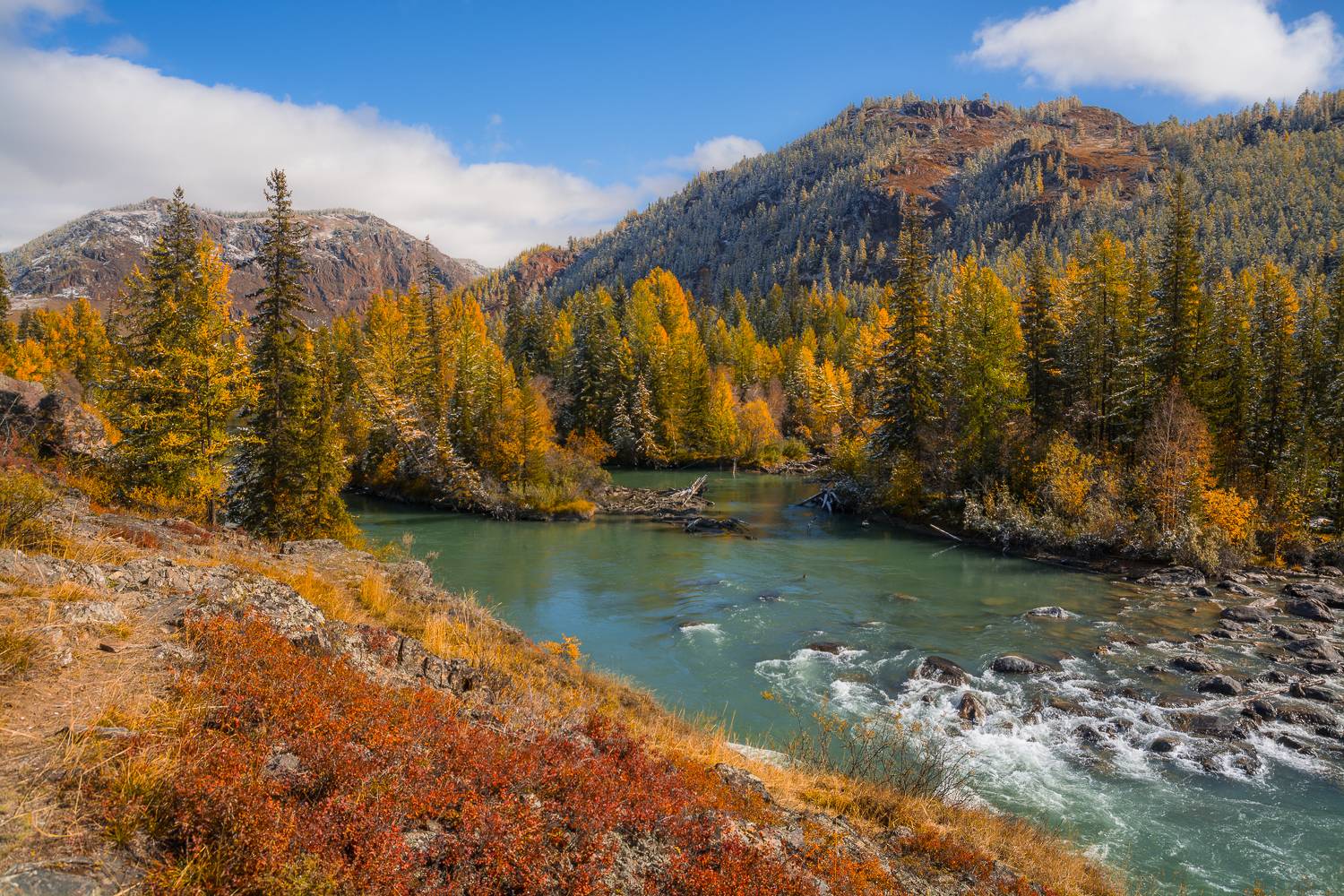 россия, горный алтай, река чуя, осень, Андрей Поляков