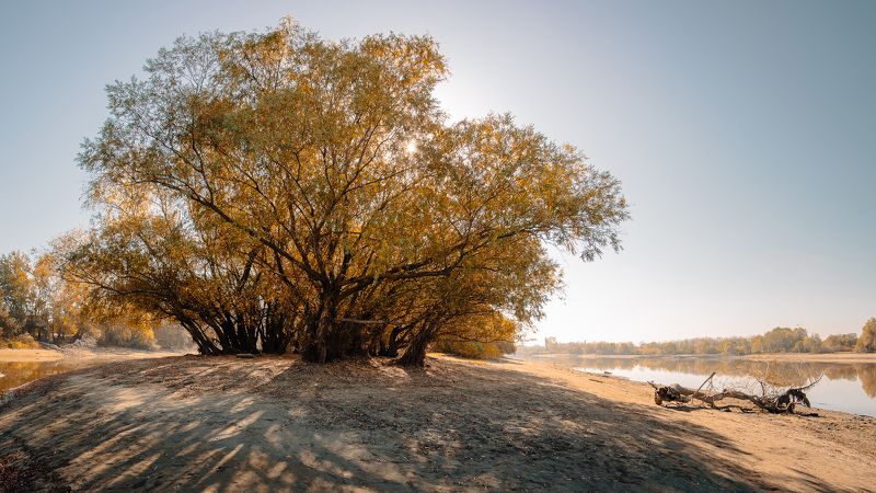 Погожий день фото превью