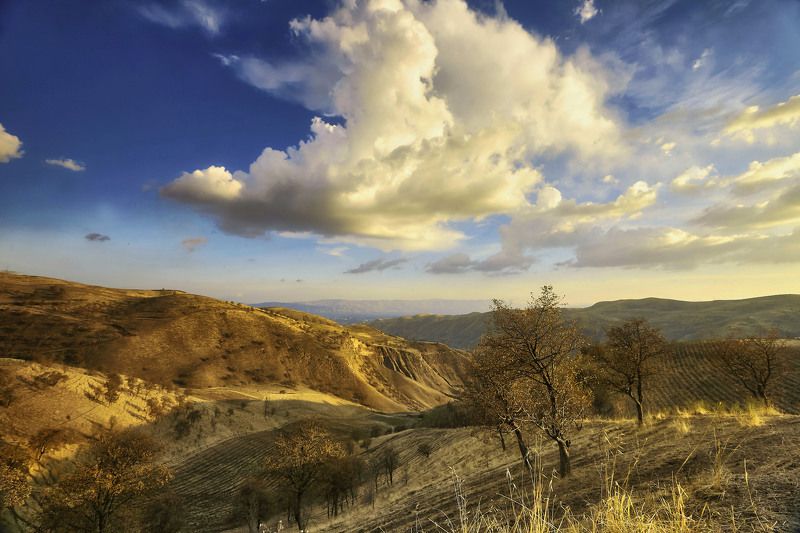 Осенний вечер… Лучоб.Душанбе.Таджикистан фото превью