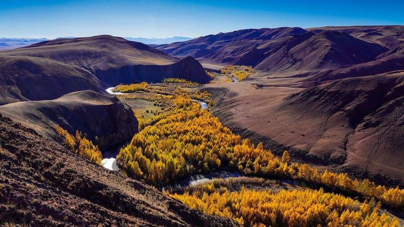 Алтай, Сибирь, Россия желтая река фото превью