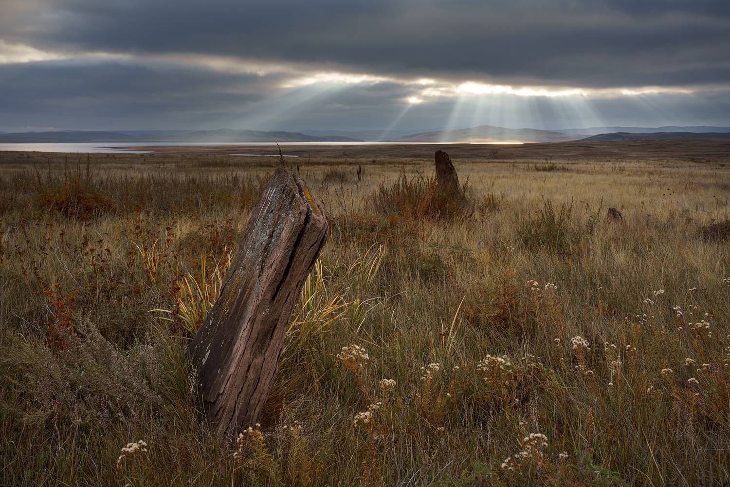 менгиры, хакасия, степь, лето, камни, Александр Нерозя