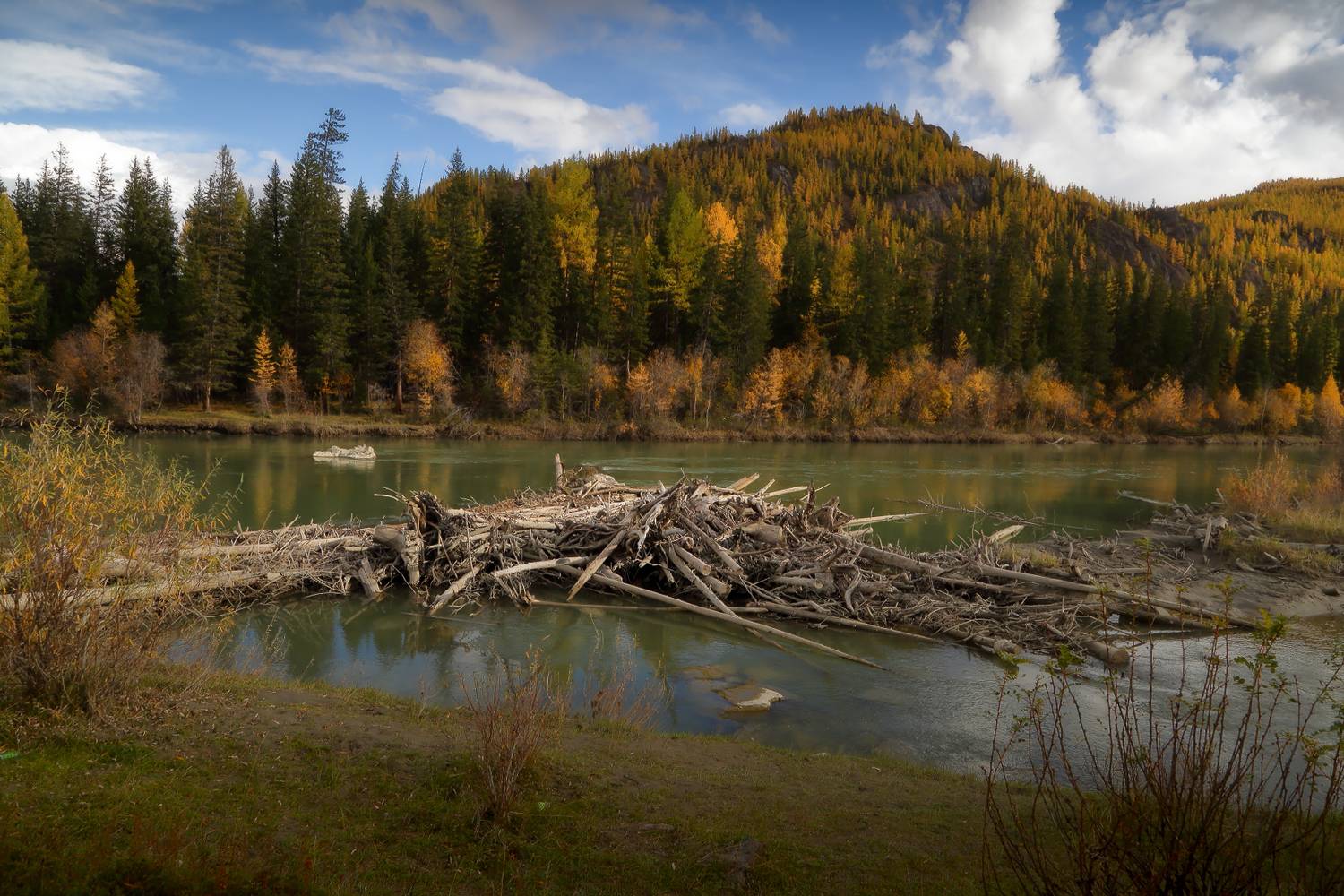 , Евгений Зинов