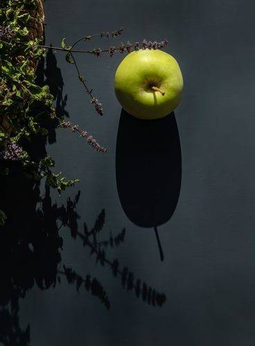 Тени и рисунки солнца