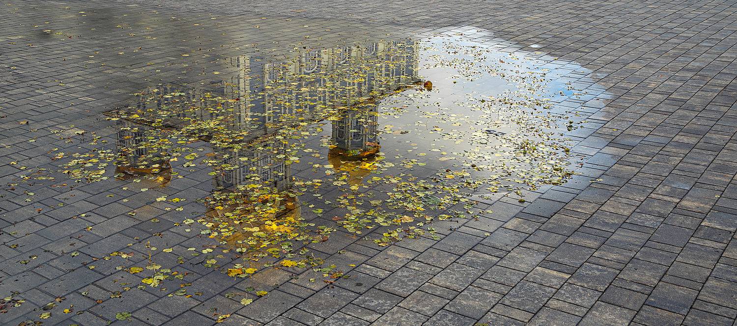 , Анатолий Зверев