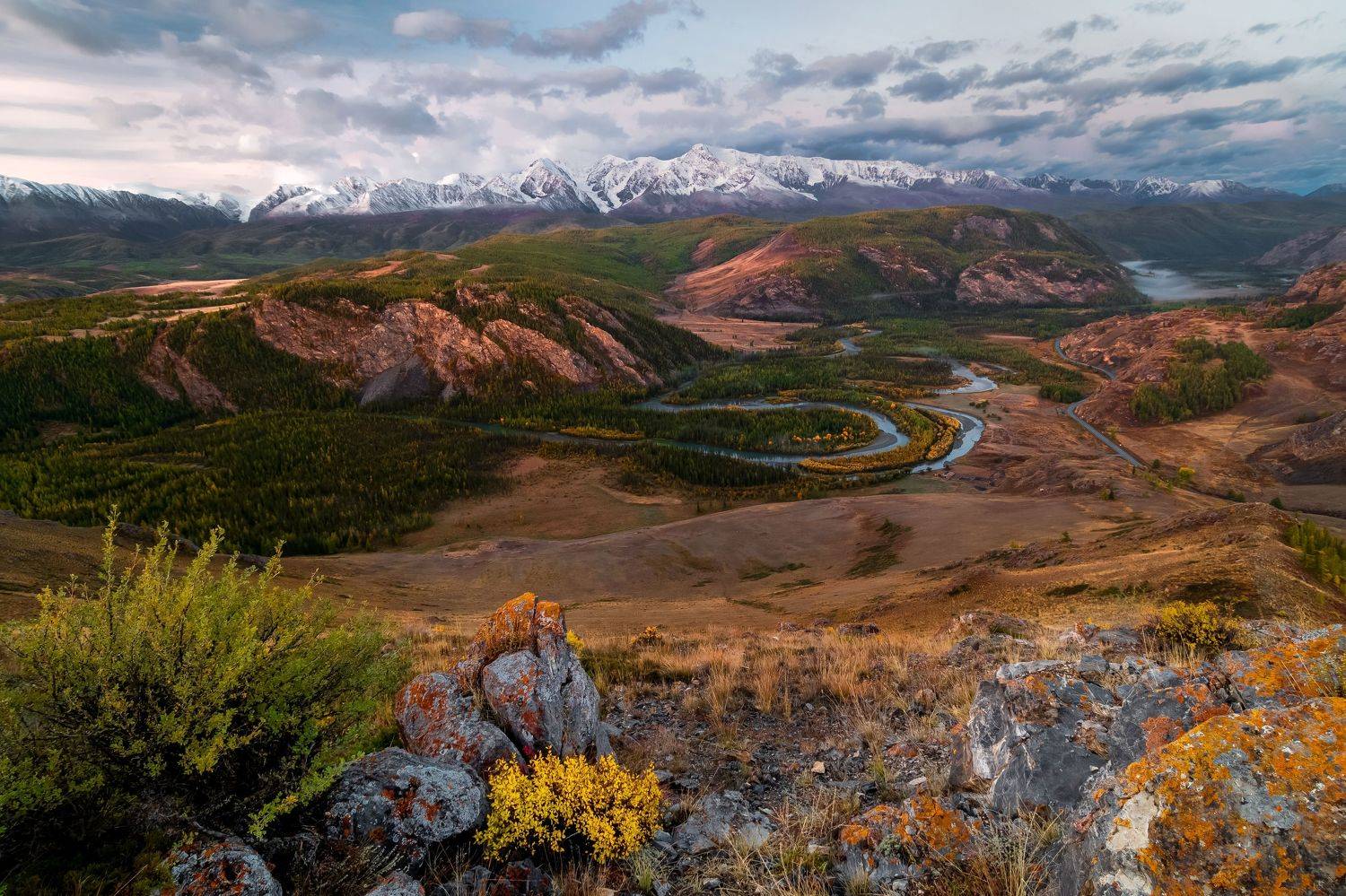 , Tatiana Meshcheryakova