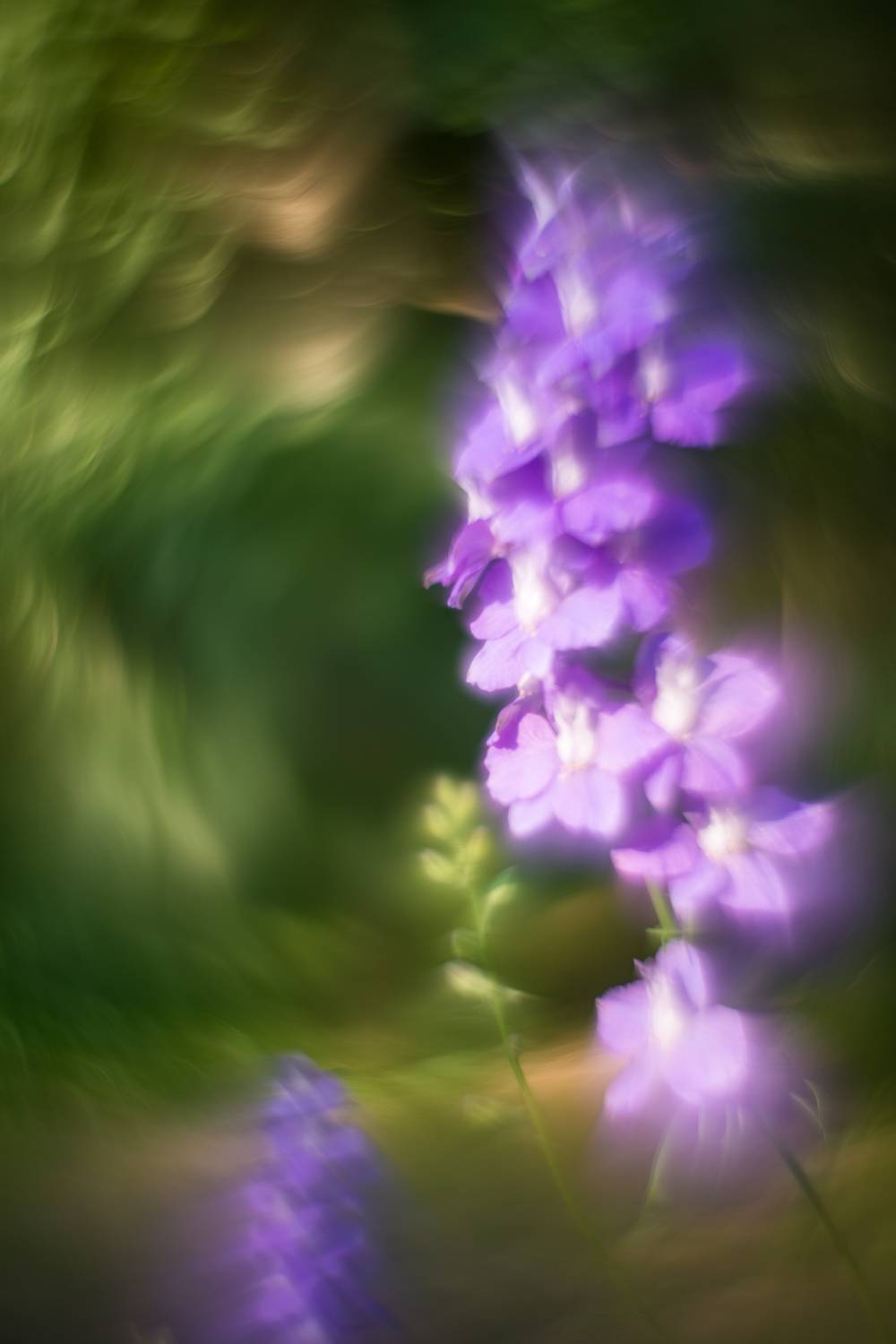 , Сизов Кирилл