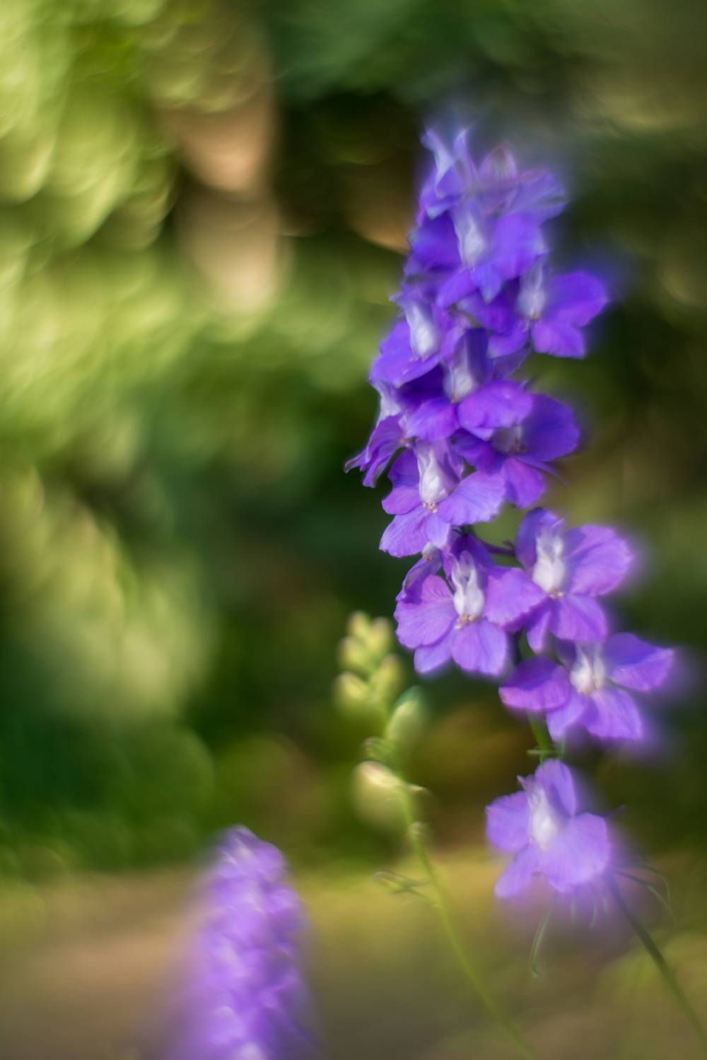 , Сизов Кирилл