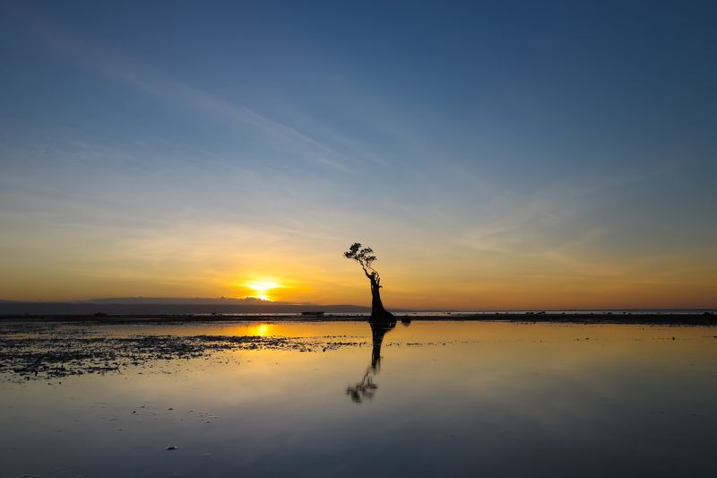 #walakiribeach #sumbaisland #sumba #mangrove #sunset #alone  Alone фото превью
