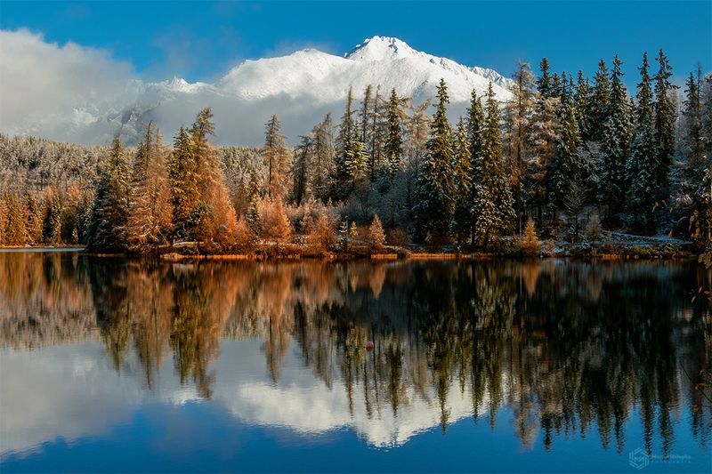 lake , mountains , autumn , tatra mountains , reflection  фото превью