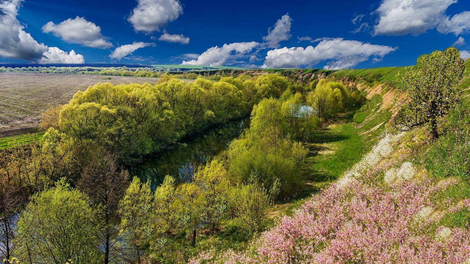 река кшень, весна, май,, Николай Бологов
