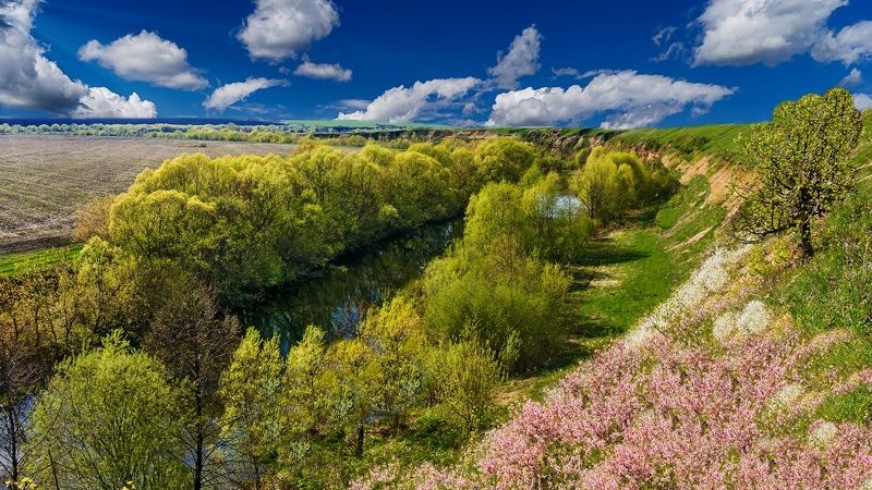 река кшень, весна, май, Май фото превью
