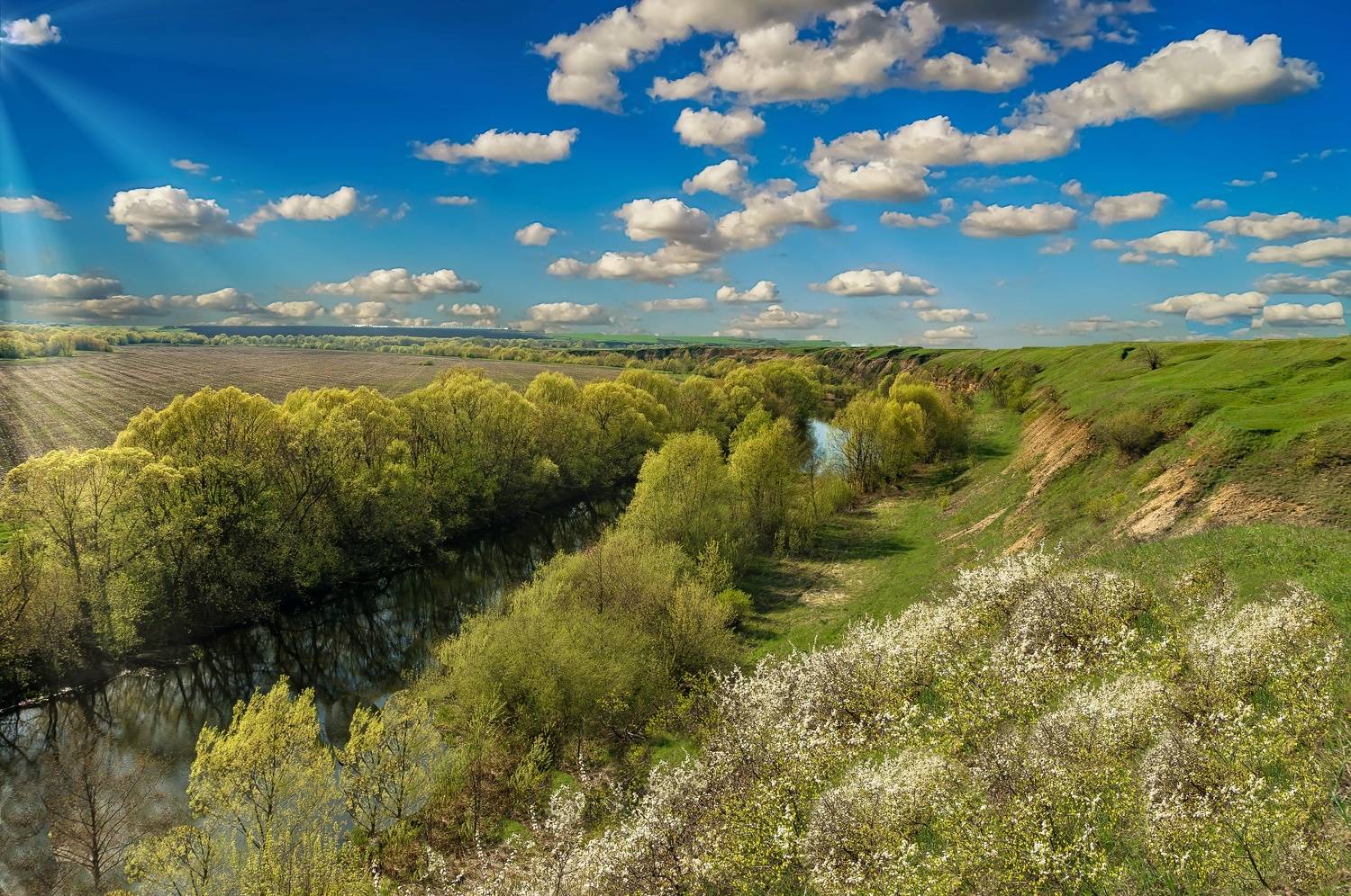 река кшень, весна, май,, Николай Бологов