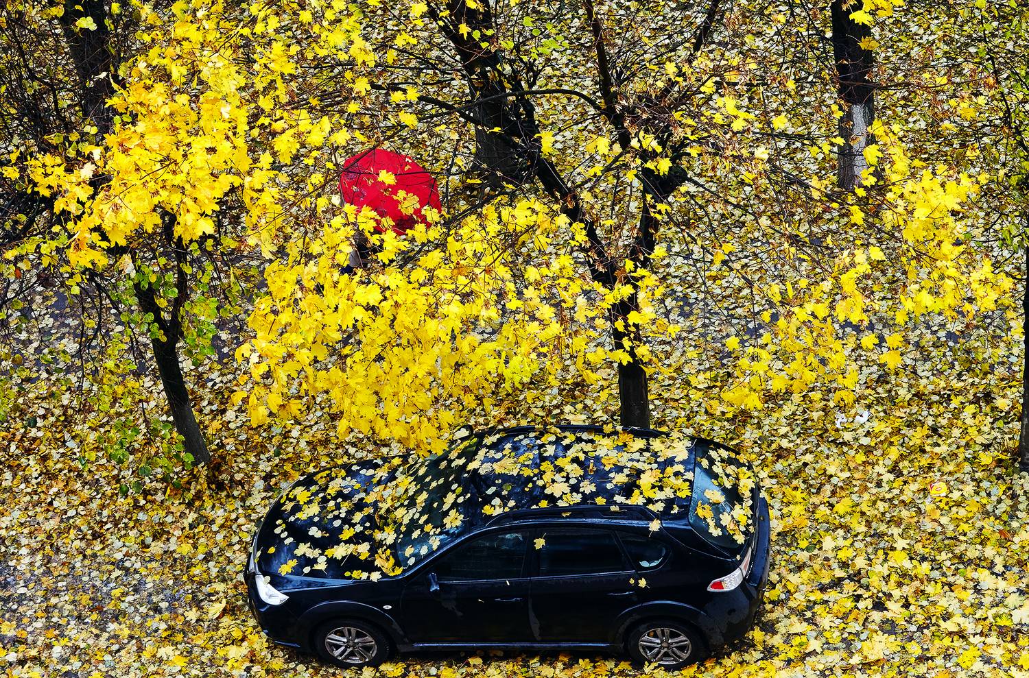 , Васенков Геннадий
