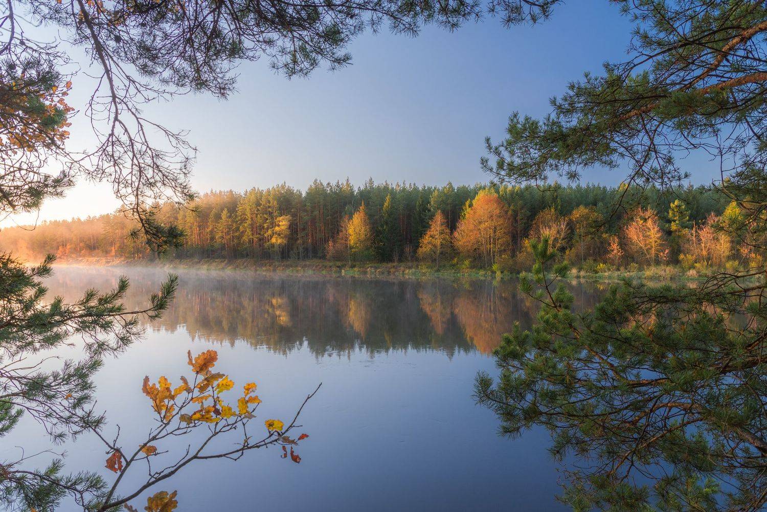 , Руслан Авдевич