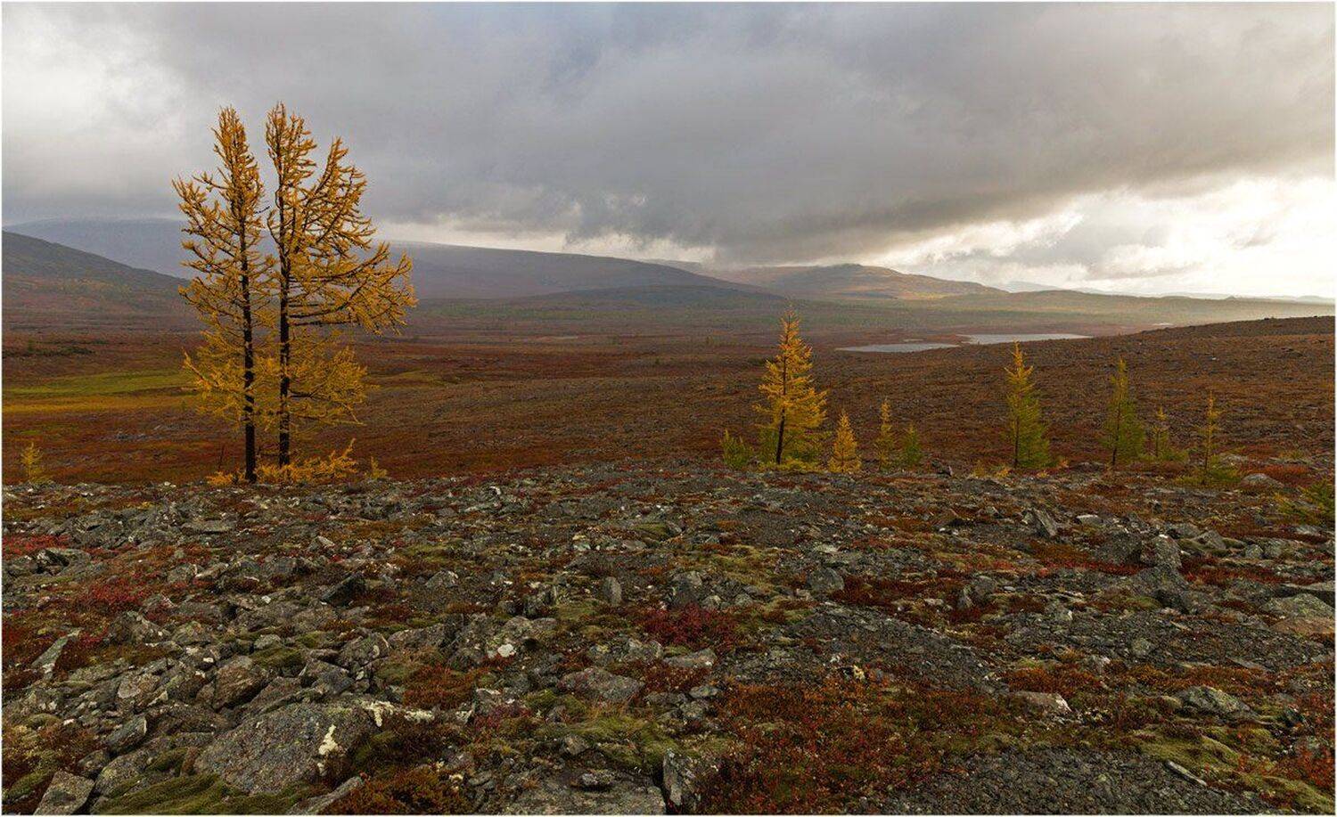 Горы, Осень, Полярный урал, Север, Ямал, Ямало-ненецкий автономный округ, Евгений