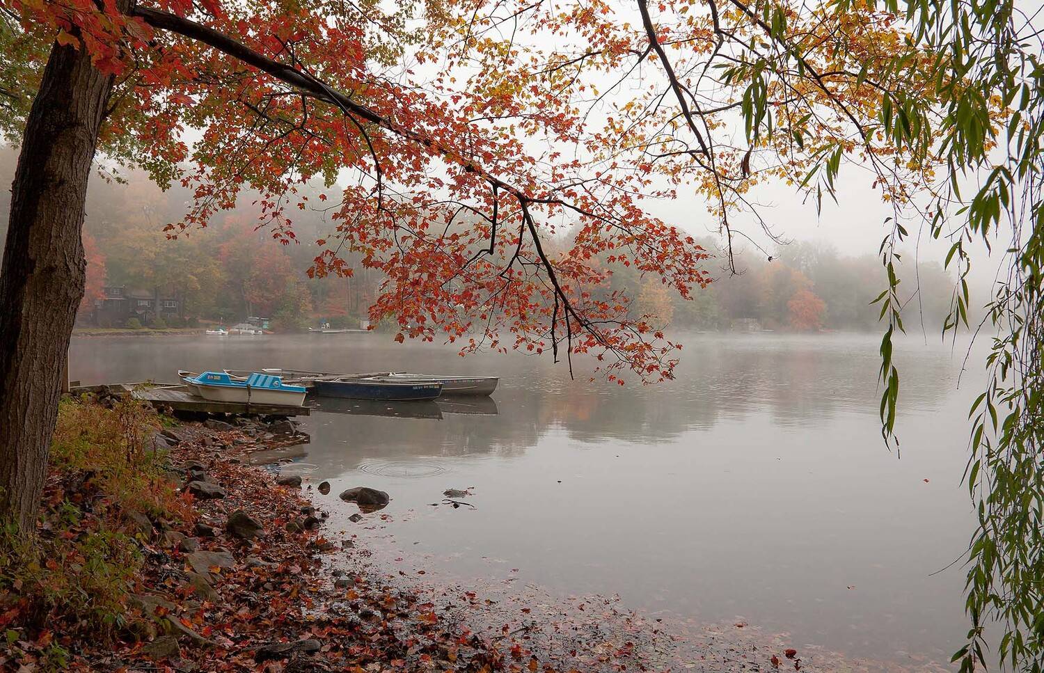 Осень, Пейзаж, Природа, Туман, Антонина