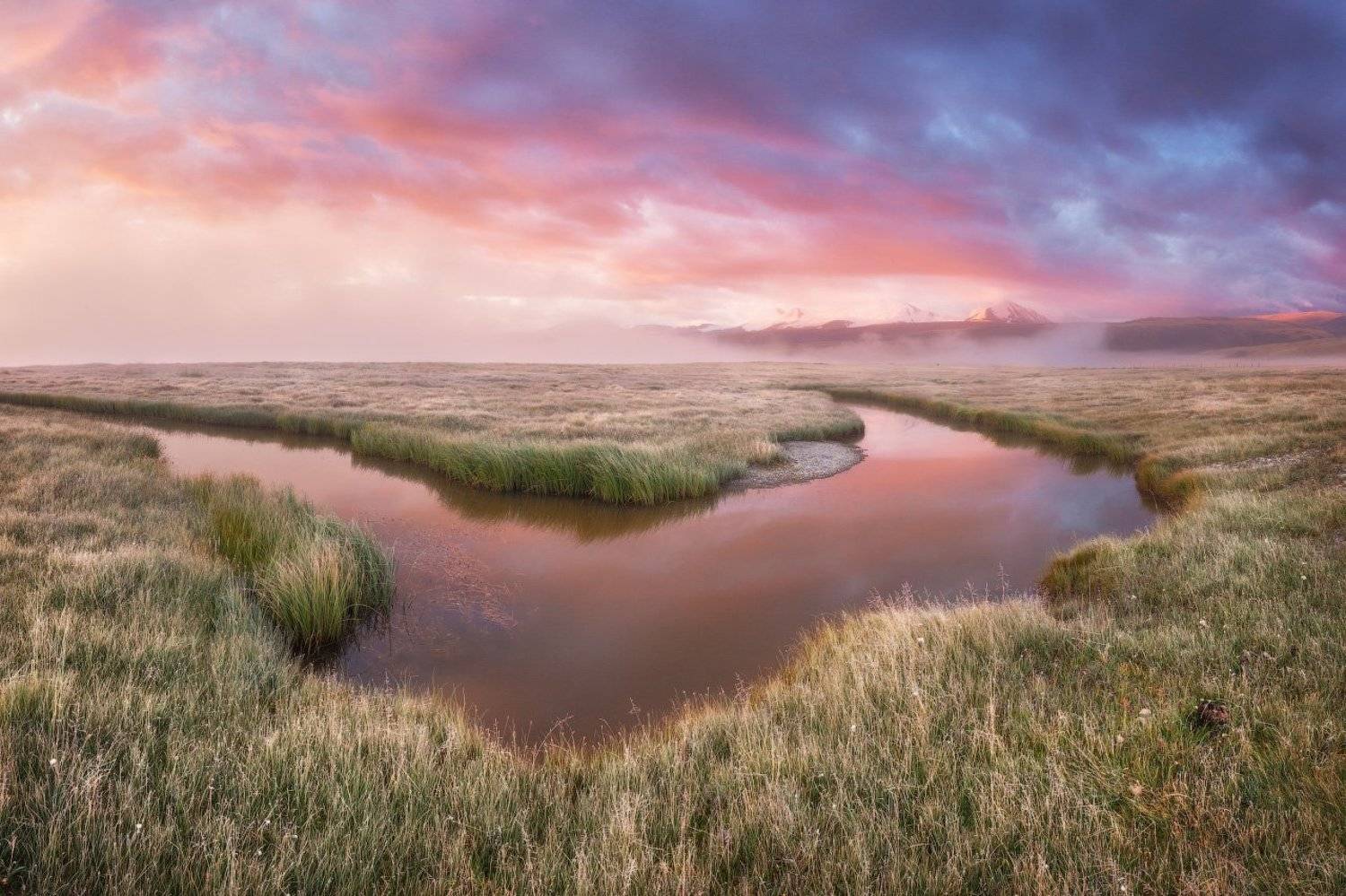 Алтай, Укок, Андрей Уляшев (Mercand)