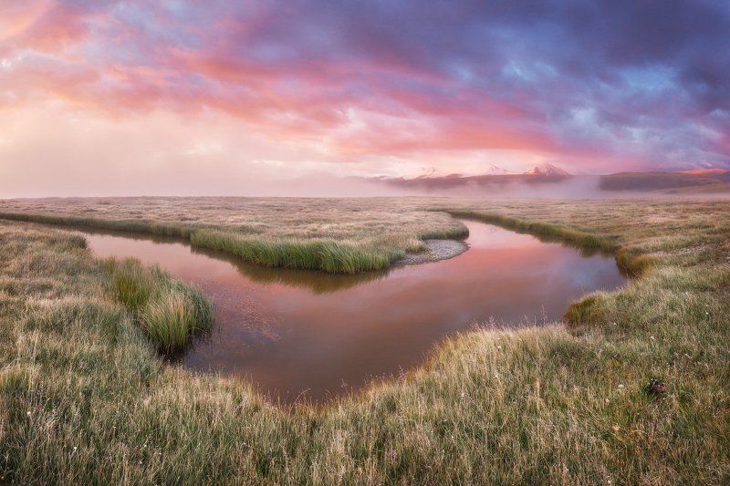 Алтай, Укок * * * фото превью