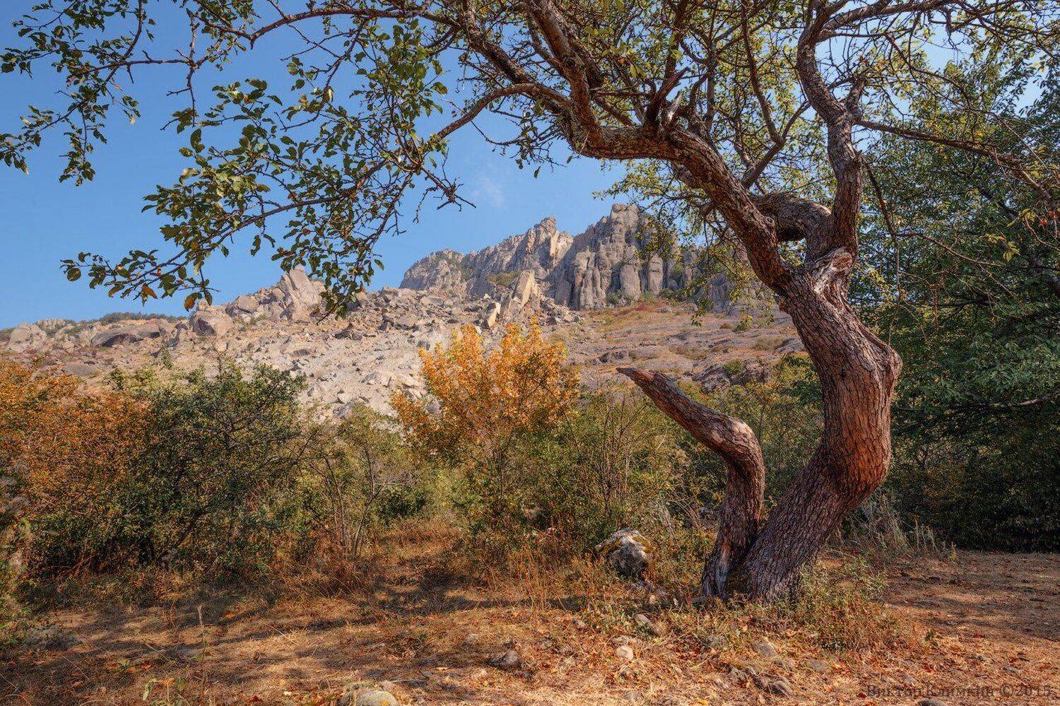 горы, демерджи, крым, осень, Виктор Климкин