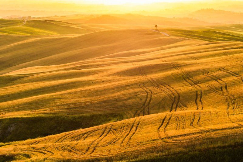 Toscana фото превью