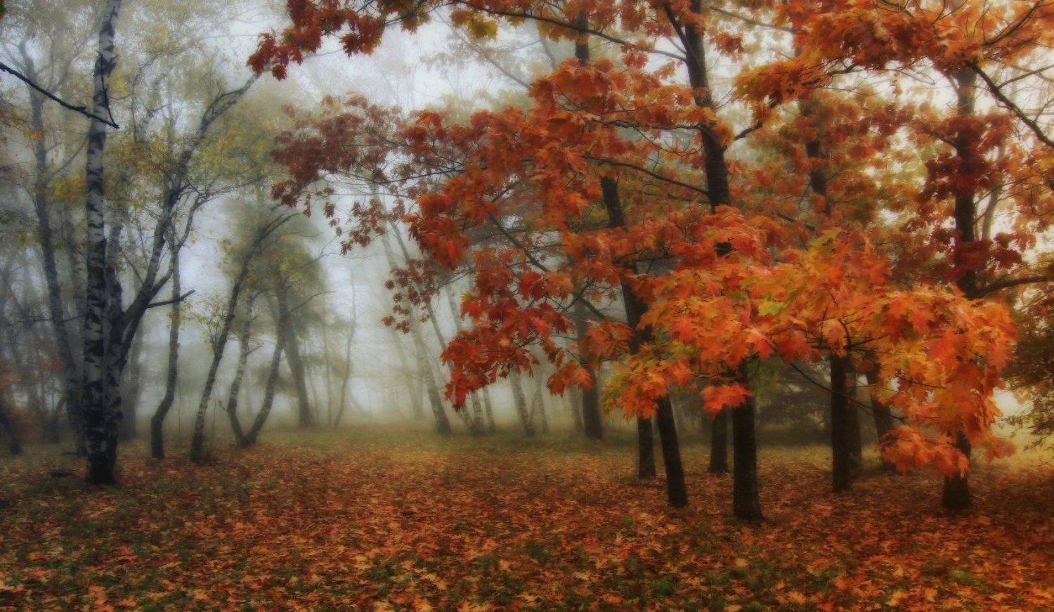 , Михаил  Пилипенко