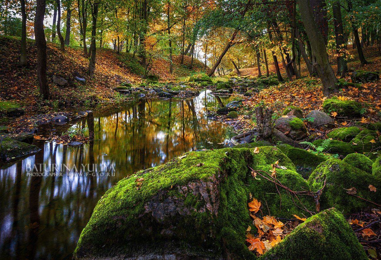 Ораниенбаум, осень, золотая осень, река, камень, дождь, Юлия Батурина