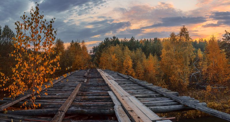 А раньше здесь ходили мотовозы... фото превью