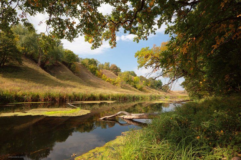 У реки фото превью