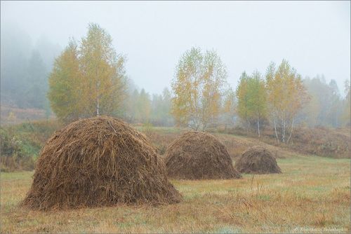 Туманное утро Уймонской долины
