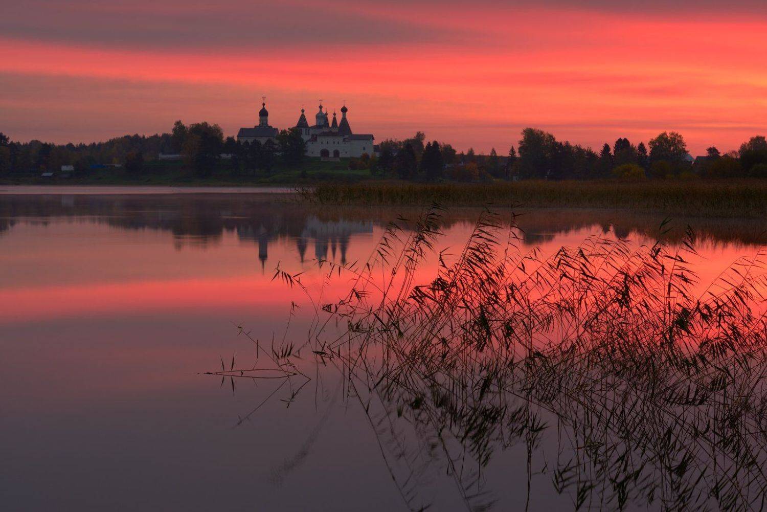 , Максим Евдокимов