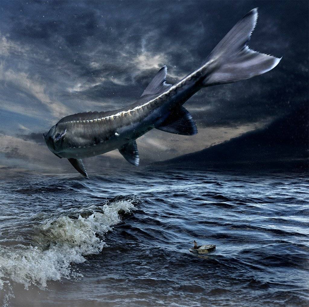 море, Поздняк Виктор