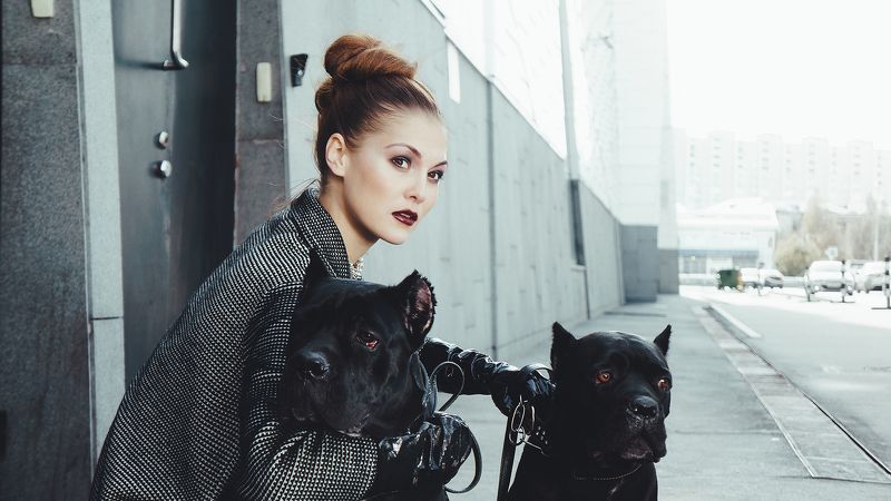 фото превью