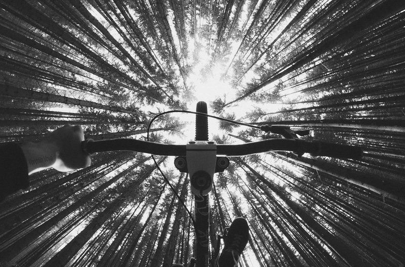 Bike, Велосипед, Вечер, Закат, Лето, Пейзаж, Природа, Рассвет, Утро bikephoto preview