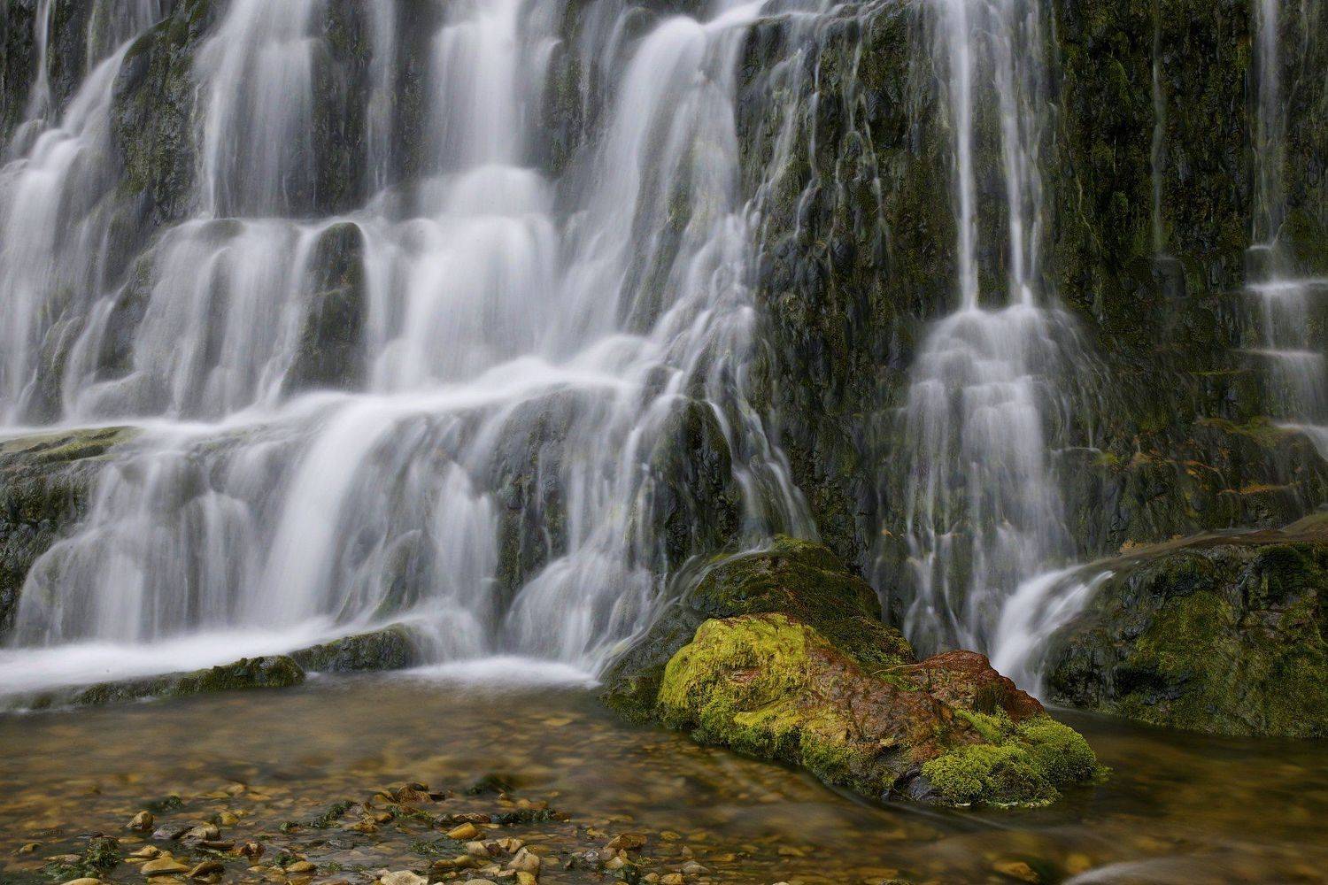 , Александр Бурдин