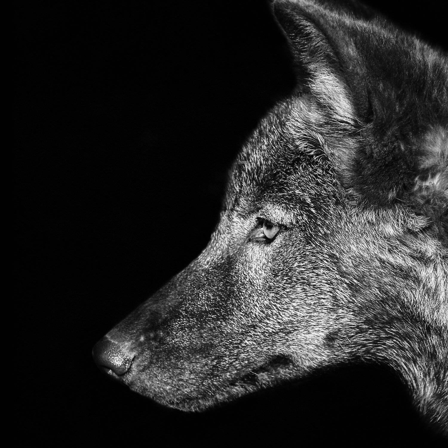 , Олег Богданов