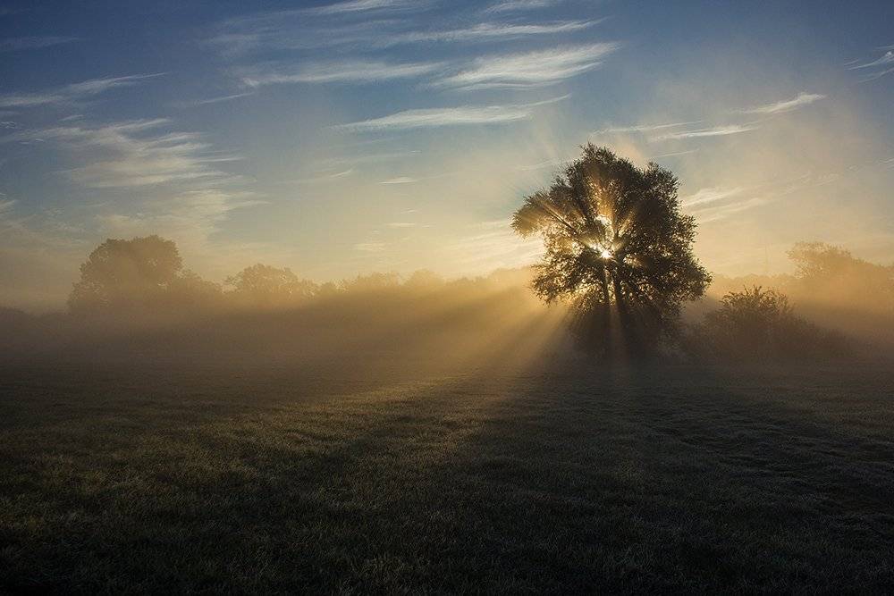 , Pawel Plucinski