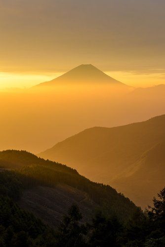 Gold flash