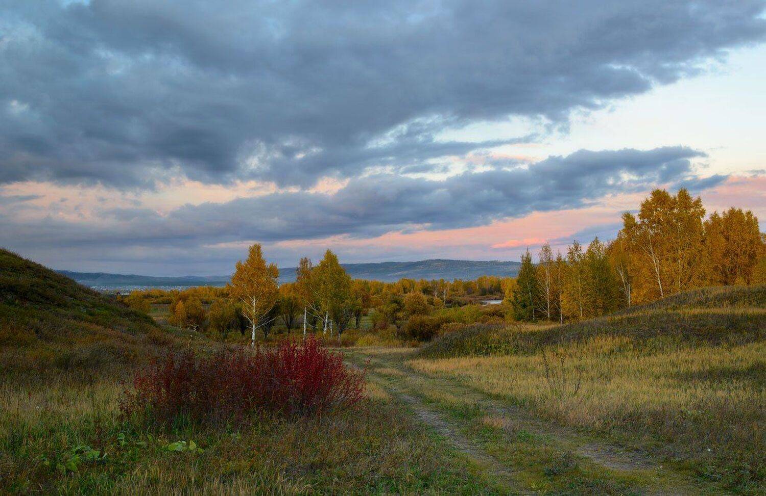 , Сергей Брагин