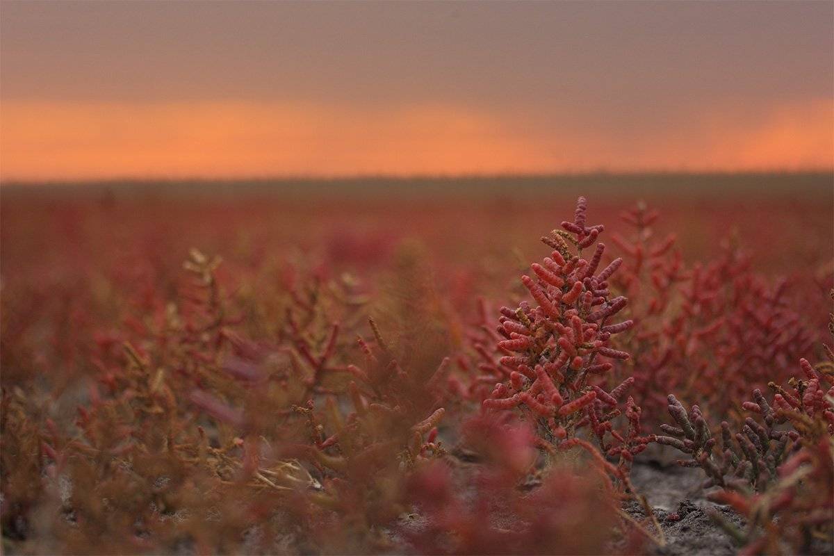 Вечер, Закат, Солерос, Роман Рысь