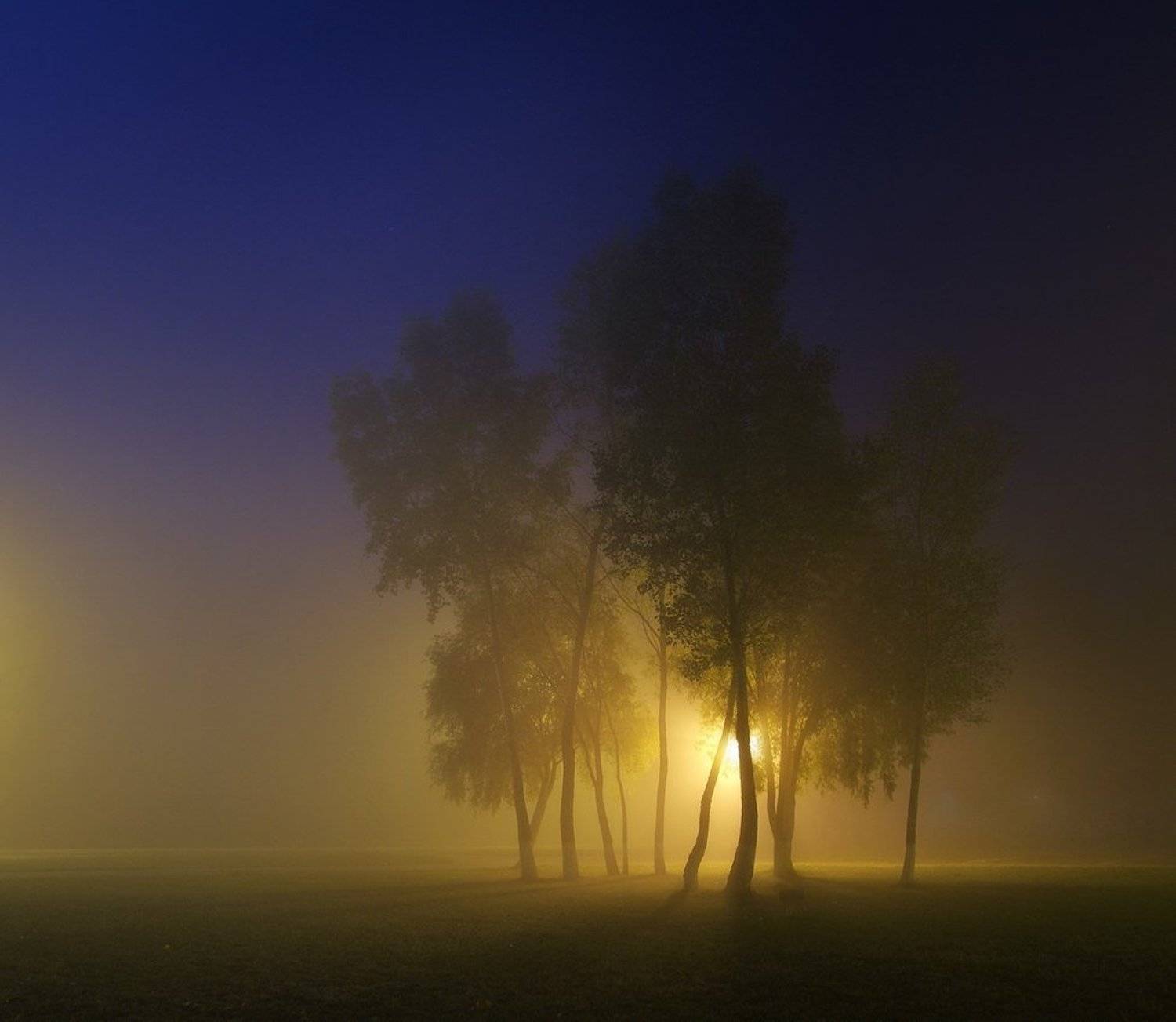 , Сергей Шляга