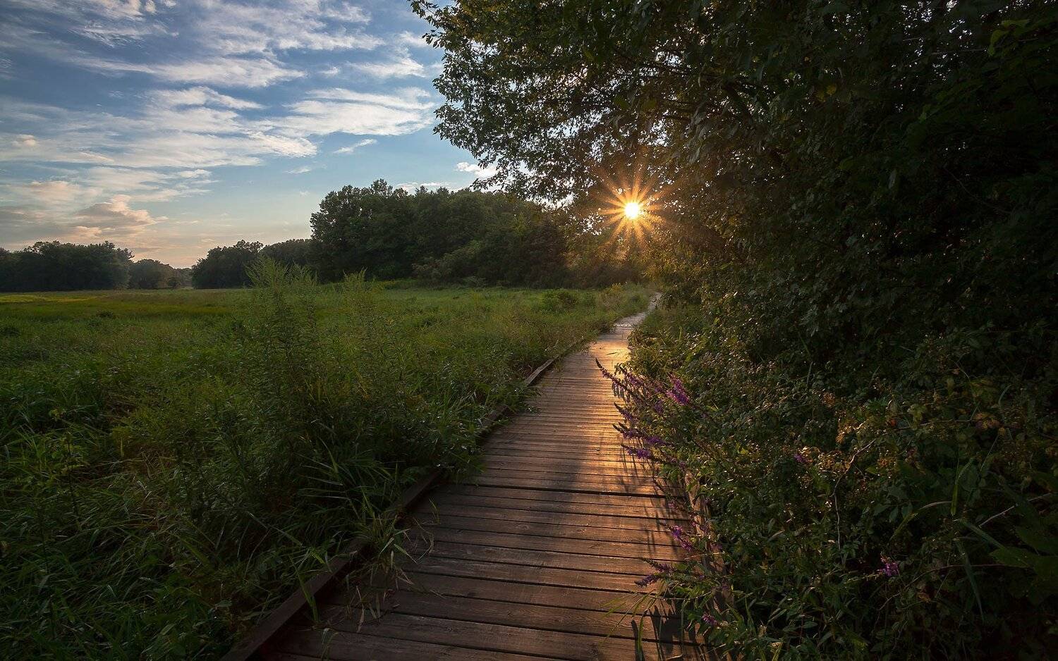 Закат, Пейзаж, Природа, Антонина
