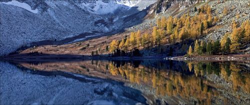 Крепкие Отражения