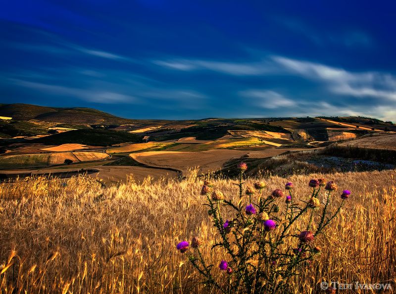 Landscape,   фото превью