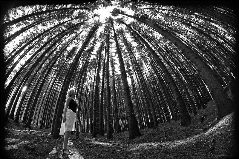 Some portraits фото превью