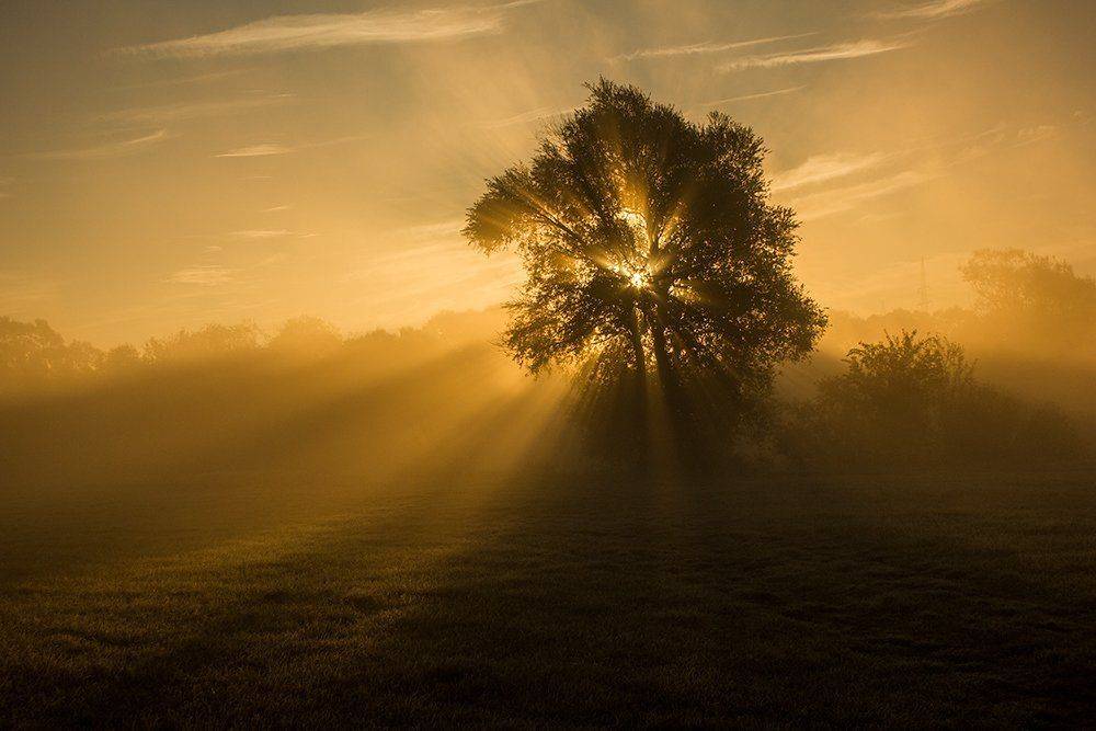 , Pawel Plucinski